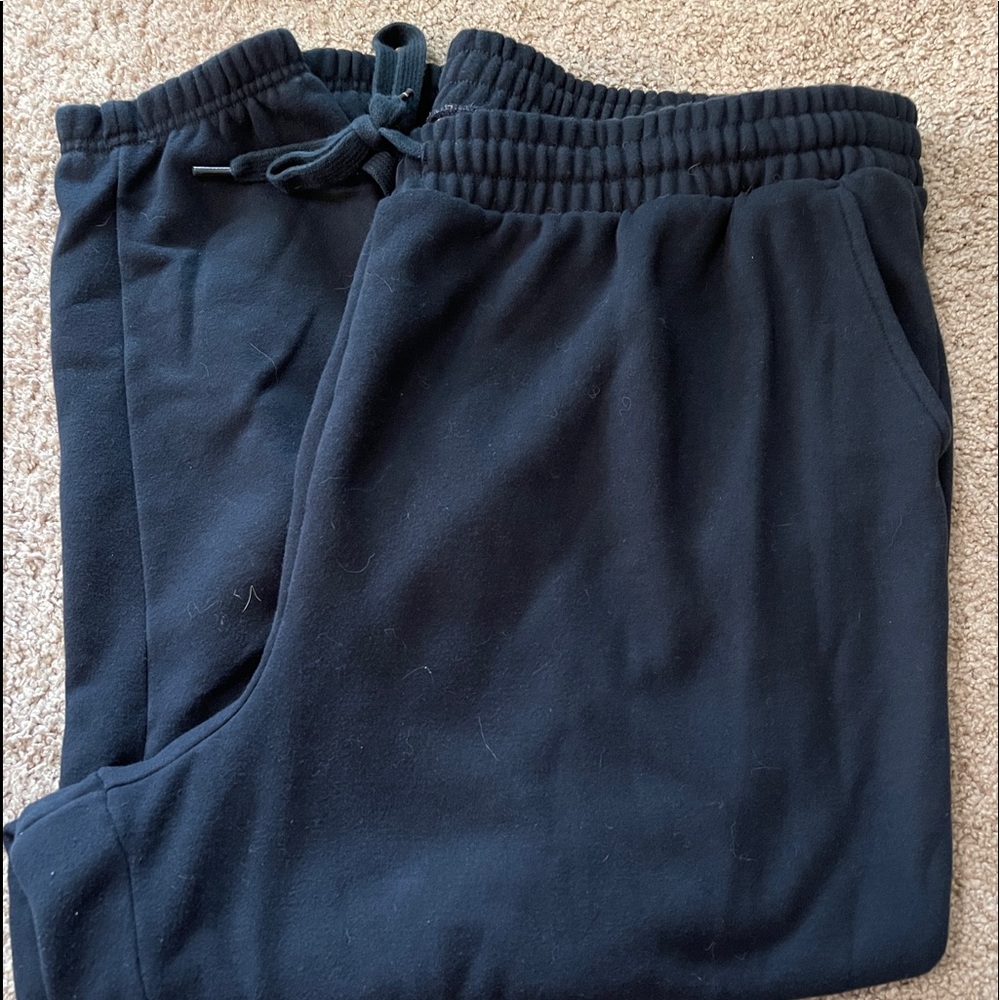 Size 2X Fabletics Black Sweatpants